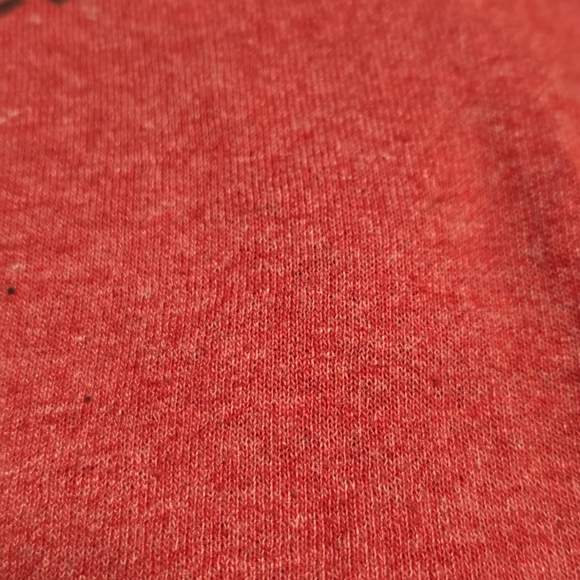 Darien Lake Theme Park 1953 New York Red T-shirt Vintage Pet Free Smoke Free - Picture 3 of 3